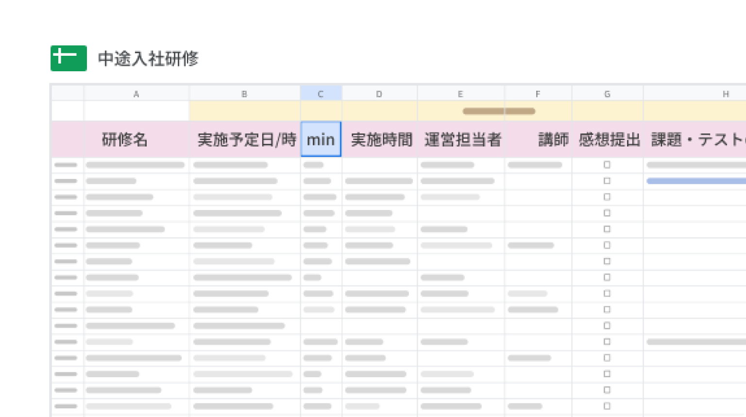 体系的な研修制度のスケジュール